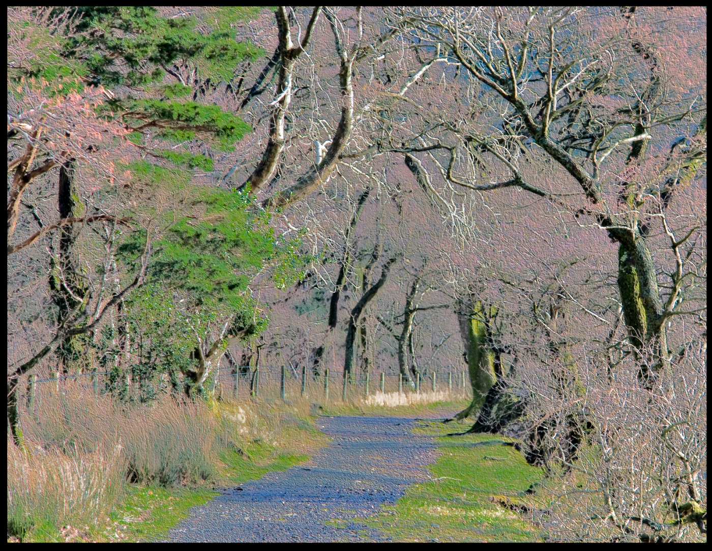 LowesWater00097_RT16.JPG