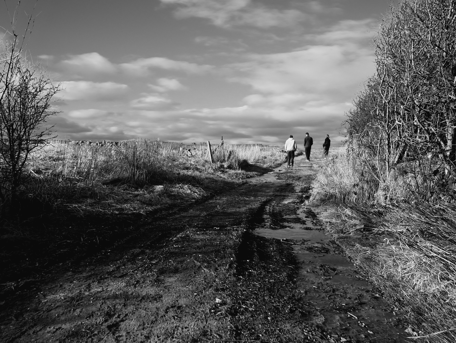 water 1000444_1920